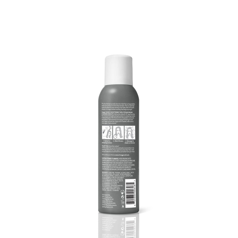 Perfect hair Day Dry Shampoo-DRY SHAMPOO-Salonbar