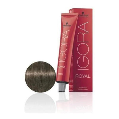 Igora Royal Color 6-1 Ash Dark Blond-HAIR COLOR-Salonbar