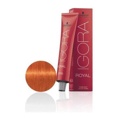 Igora Royal Color 8-77 Copper Extra Light Blond-HAIR COLOR-Salonbar